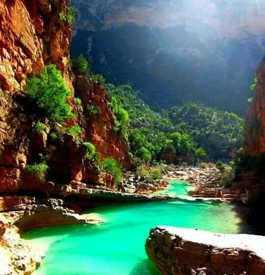 ユースホステル Ocean Surf Lodge