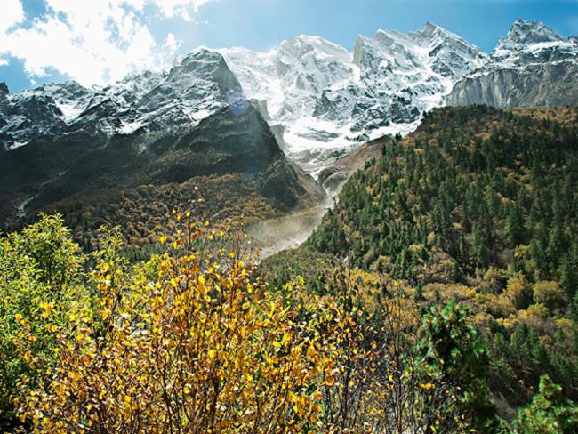 Hotel Blusalzz Escapade Resort Lansdowne