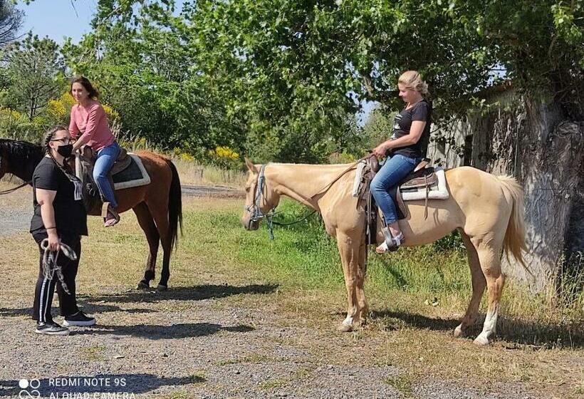 בית מלון כפרי Tenuta Terradifuoco