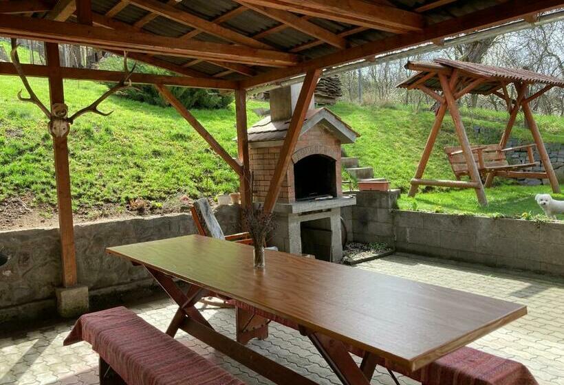 פנסיון Hegyalja Vendégház