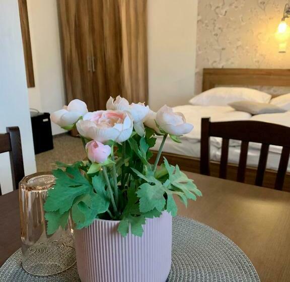 پانسیون Ubytování Selský Dvůr