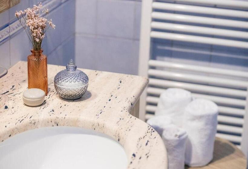 旅馆 Accademia Vine Lodge