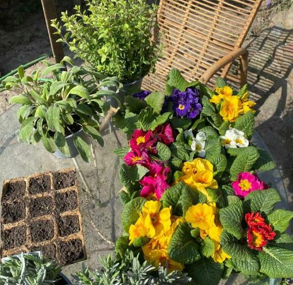 Общежитие Norddeutscher Hof   Kutscherstation