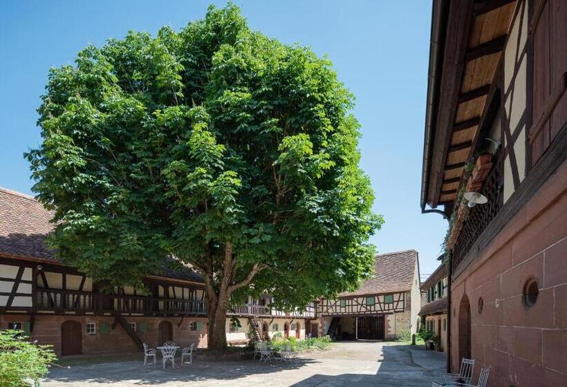 住宿加早餐  Au Fil Du Temps