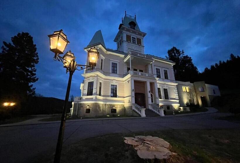 酒店 Chateau Cihelny