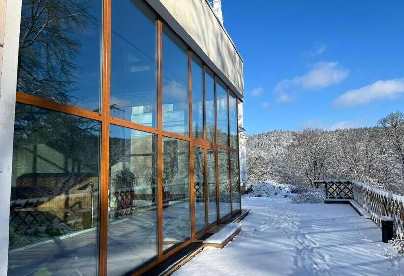 酒店 Chateau Cihelny