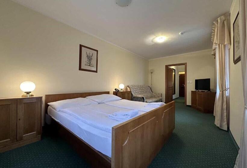 酒店 Chateau Cihelny