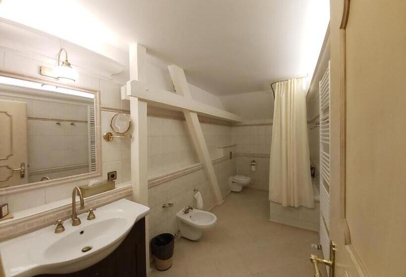 酒店 Chateau Cihelny