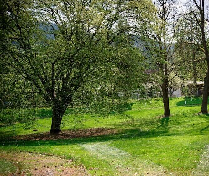 酒店 Chateau Cihelny