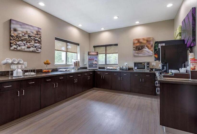 בית מלון כפרי Sleep Inn & Suites