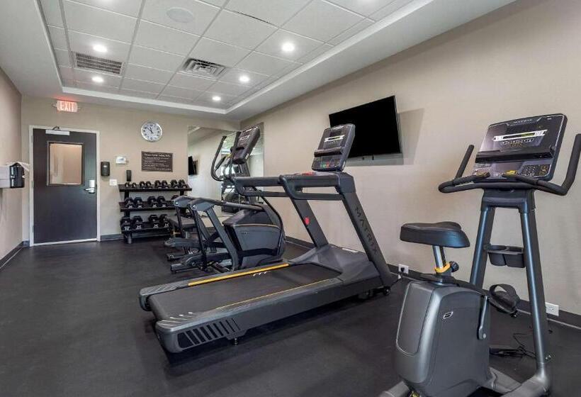 호텔 Sleep Inn & Suites