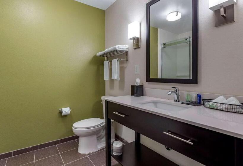 호텔 Sleep Inn & Suites