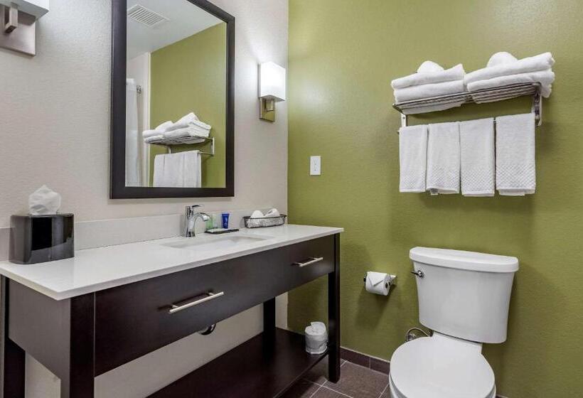 בית מלון כפרי Sleep Inn & Suites