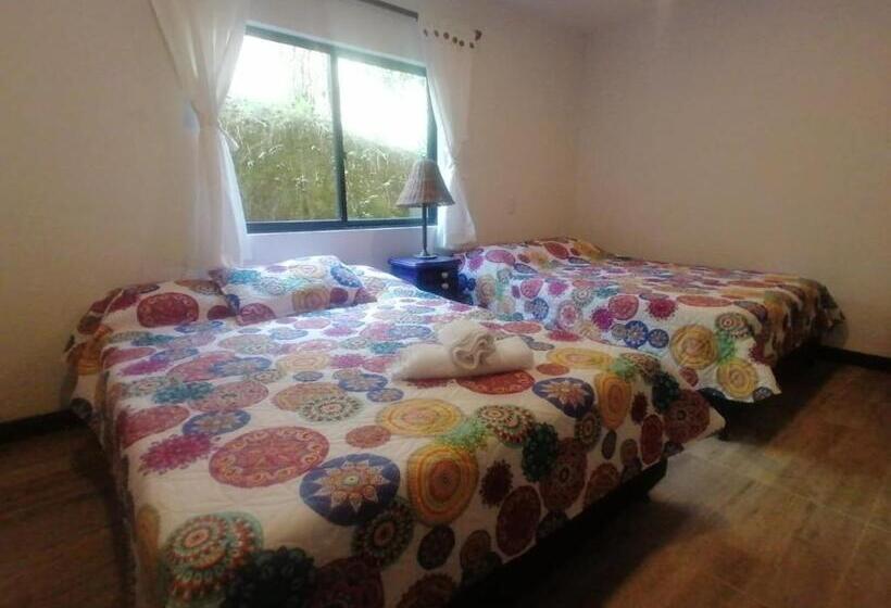 膳宿费 Alojamiento El Regalo