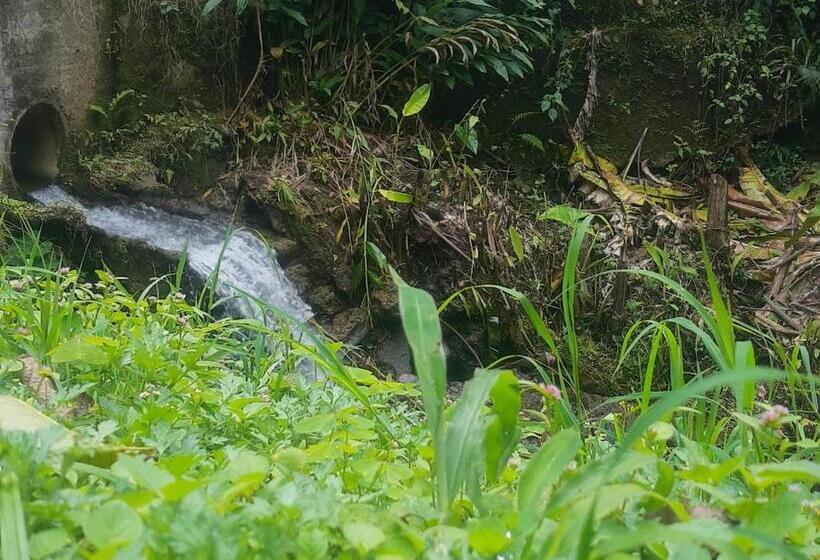 膳宿费 Alojamiento El Regalo