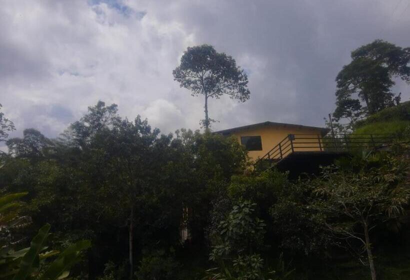 膳宿费 Alojamiento El Regalo