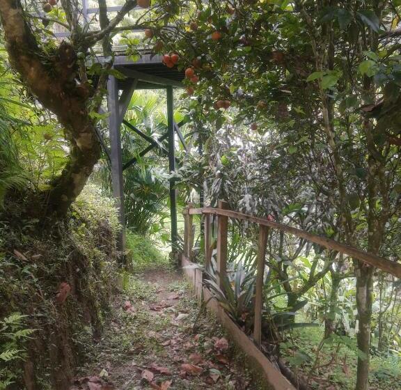 膳宿费 Alojamiento El Regalo