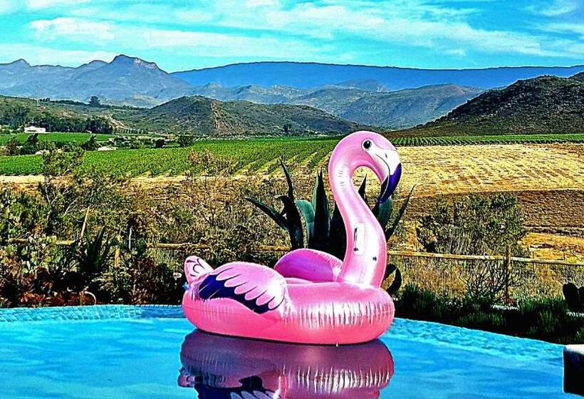 Пансион Pjure Wellness Retreat & Spa