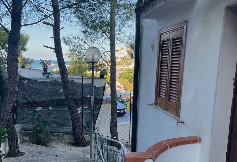 Residence Montepucci