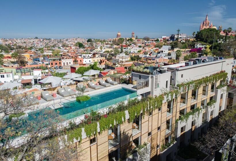 استراحتگاه Numu Boutique Hotel, The Unbound Collection By Hyatt