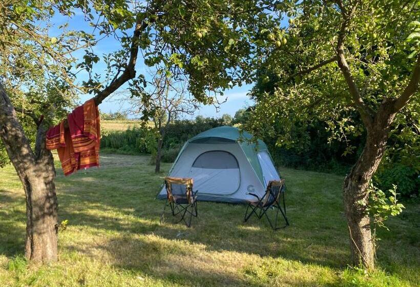 Общежитие Spurensucher Quartier