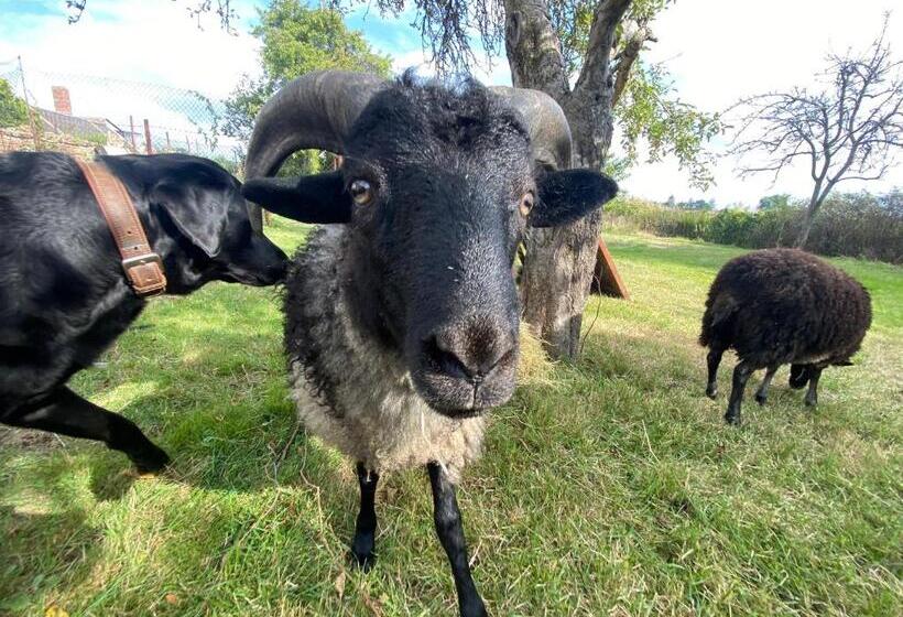 Общежитие Spurensucher Quartier