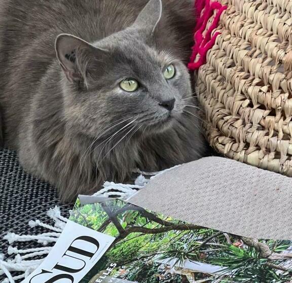 צימר La Chambre Cézanne