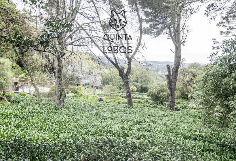 Quinta Dos Lobos Boutique Hotel   Nature Experience