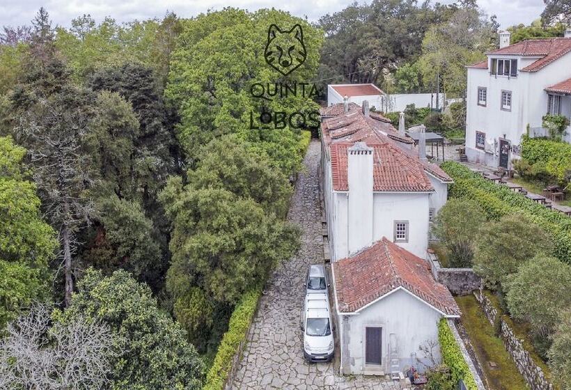Quinta Dos Lobos Boutique Hotel   Nature Experience