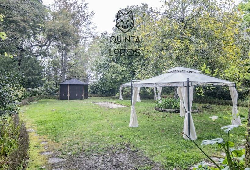 Quinta Dos Lobos Boutique Hotel   Nature Experience