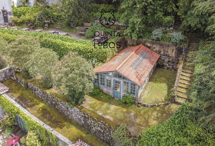 Quinta Dos Lobos Boutique Hotel   Nature Experience
