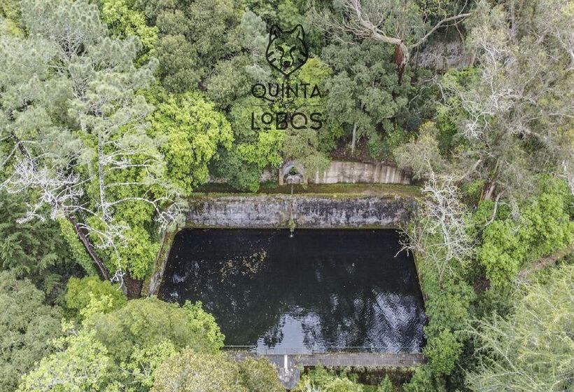 Quinta Dos Lobos Boutique Hotel   Nature Experience