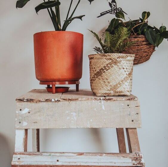 بنسيون Centro Hostel Medellin