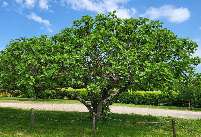 펜션 Le Clos Des Figuiers   3 Chambres D Hôtes De Charme