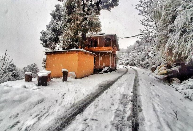 بنسيون Tirthan Ecostay