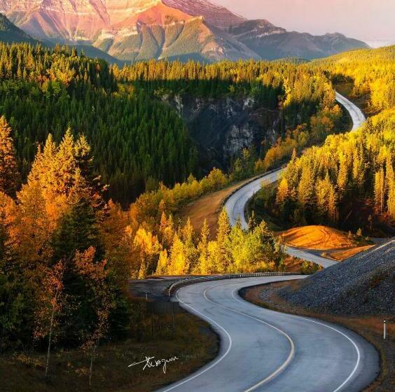 Sunny Tranquil Woods Turret In Falcon Crest Lodge