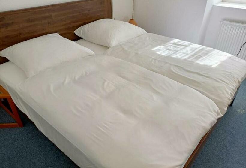 مبيت وإفطار Altenmedinger Hof