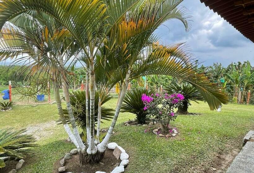 تختخواب و صبحانه Hacienda San Miguel Arcangel