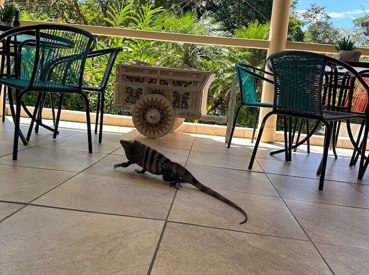 צימר Hospedaje Colibri