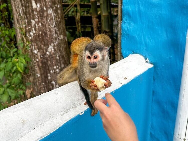 צימר Hospedaje Colibri