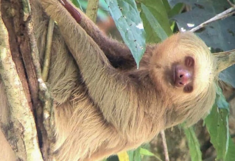 צימר Hospedaje Colibri