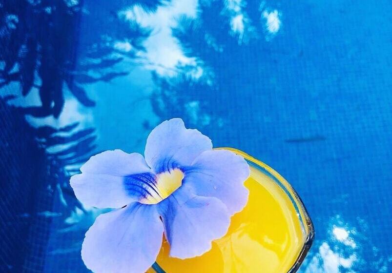 تختخواب و صبحانه Hospedaje Colibri