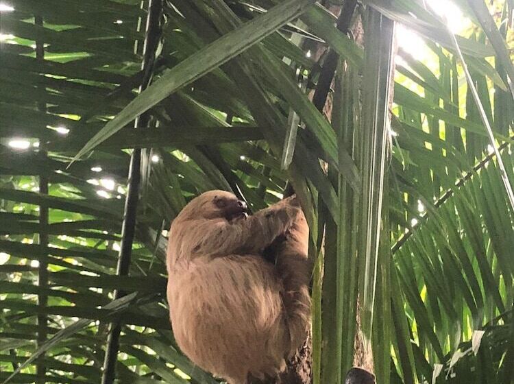 צימר Hospedaje Colibri