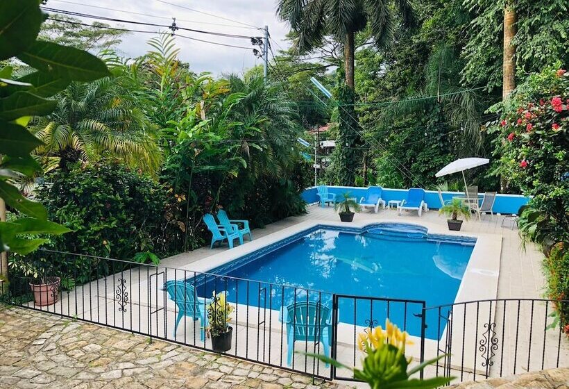 تختخواب و صبحانه Hospedaje Colibri
