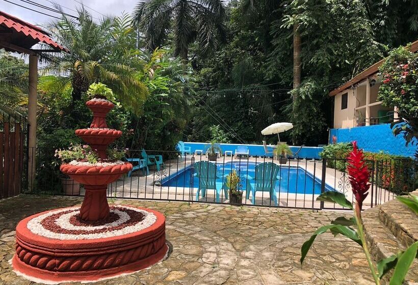 تختخواب و صبحانه Hospedaje Colibri