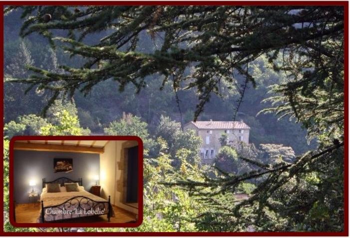 ベッドアンドブレックファースト Les Escaliers Du Paradis