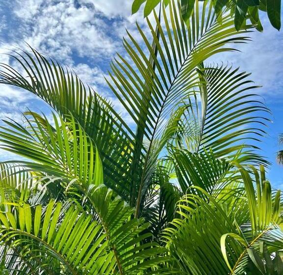 مبيت وإفطار Tacaloa Inn Experience