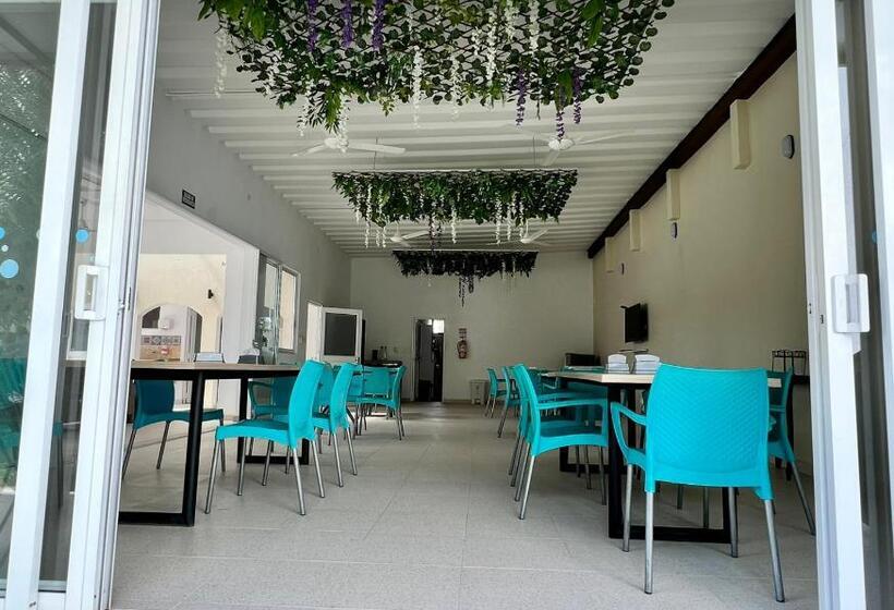 مبيت وإفطار Tacaloa Inn Experience