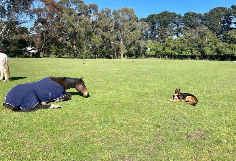 فندق Farm Stay Maple Cottage At Wilindi Estate