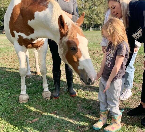 فندق Farm Stay Maple Cottage At Wilindi Estate